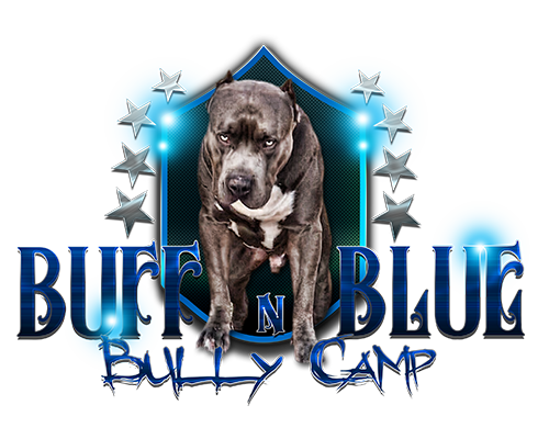 Buff N Blue Bullies Buff N Blue Bullies